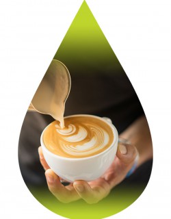 Cappuccino Coffee-PUR