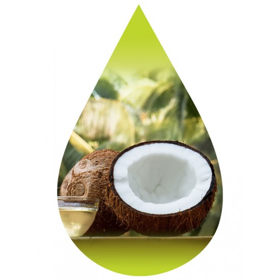 Fresh Coconut-PUR