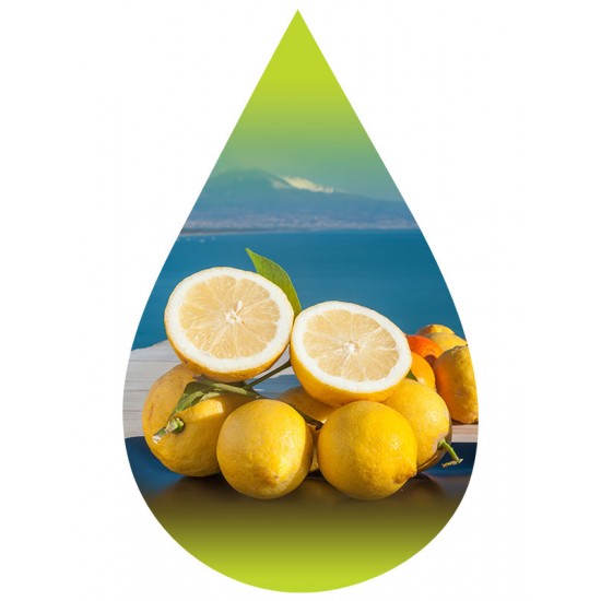 Lemon Sicilian-PUR