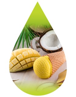Toasted Coconut Mango Sherbet-PUR
