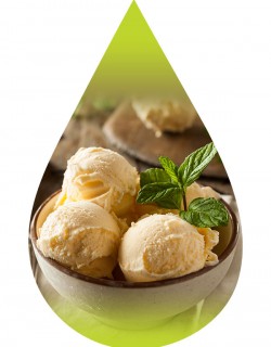 Vanilla Bean Ice Cream-PUR