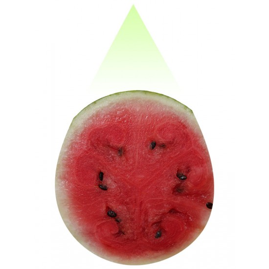 Watermelon-PUR
