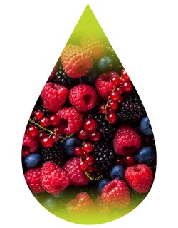 Wild Berry Harvest-PUR
