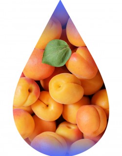 Apricot-TFA
