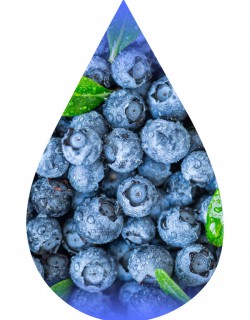 Blueberry Extra-TFA
