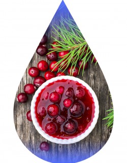 Cranberry Sauce-TFA