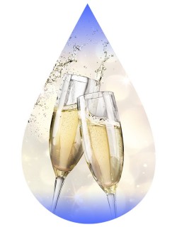 Champagne-TFA