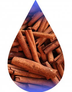 Cinnamon-TFA