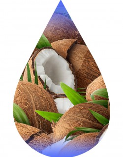 Coconut Extra-TFA