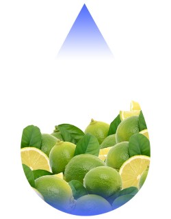 Lemon Lime II-TFA
