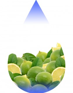 Lemon Lime II-TFA
