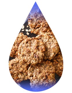 Oatmeal Cookie-TFA