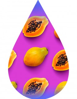 Papaya-TFA