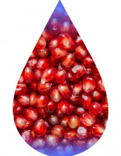 Pomegranate Deluxe-TFA