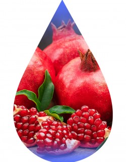 Pomegranate-TFA