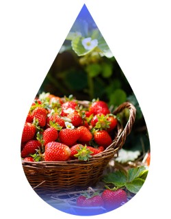 Strawberry Ripe-TFA