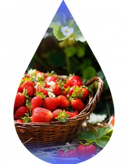 Strawberry Ripe-TFA