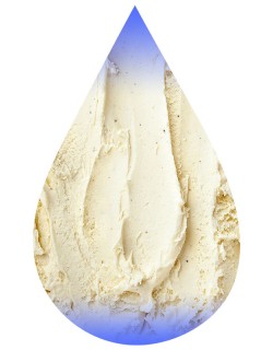 Vanilla Bean Ice Cream-TFA