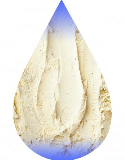 Vanilla Bean Ice Cream-TFA
